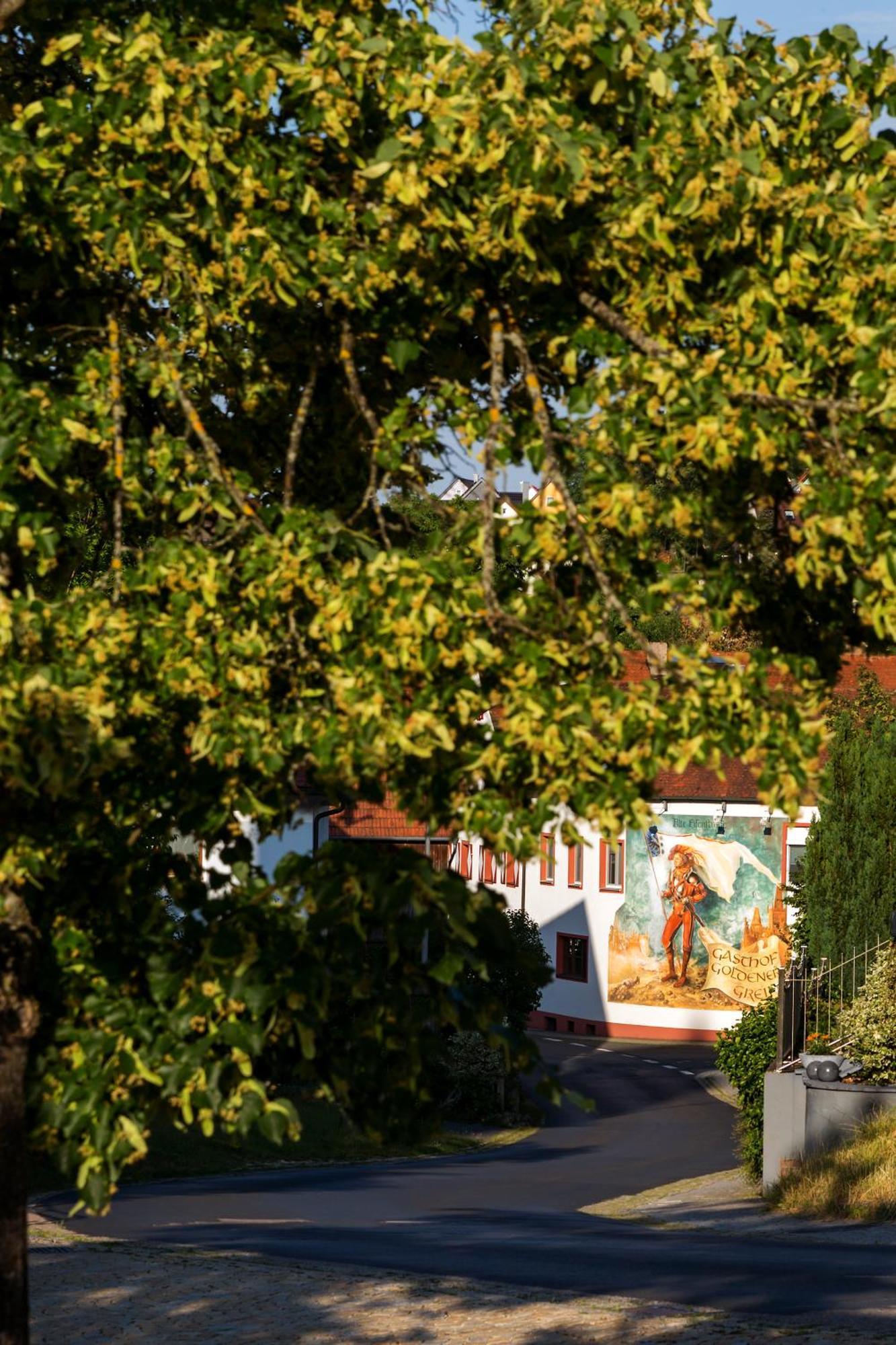 Wirtshaus & Hotel Goldener Greif Edelsfeld المظهر الخارجي الصورة